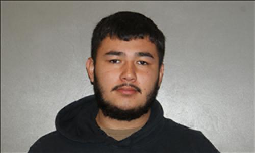 Aloany David Martinez a registered Sex Offender of Georgia