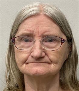 Virginia Heaton Mcintyre a registered Sex Offender of Georgia