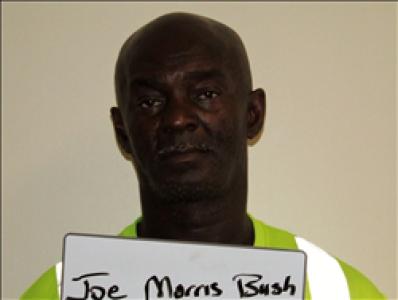 Joe Morris Bush a registered Sex Offender of Georgia