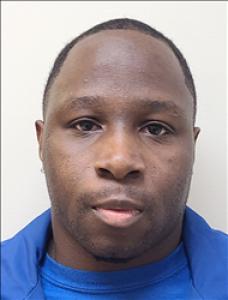 Steven Wayne Johnson a registered Sex Offender of Georgia