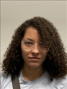 Brittany Jocelyn Fleming a registered Sex Offender of Georgia