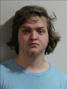 Landon Reed Williams a registered Sex Offender of Georgia