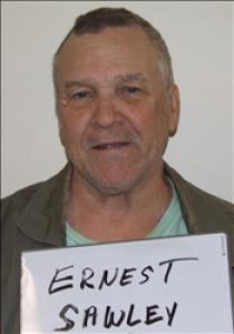 Ernest Milton Sawley Jr a registered Sex Offender of Georgia