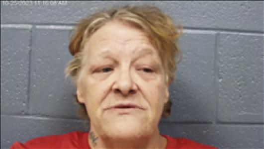 Christine Elizabeth Sampson a registered Sex Offender of Georgia