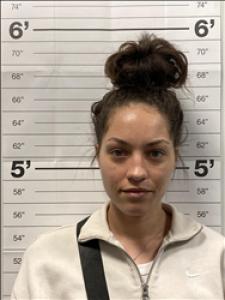 Brittany Jocelyn Fleming a registered Sex Offender of Georgia