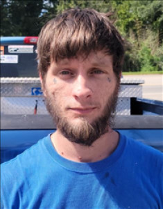 Justin Lee Banks a registered  of Georgia