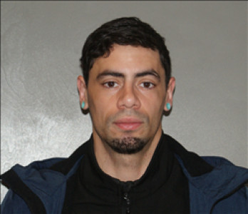 Stanley Joseph Lewicki III a registered  of Georgia
