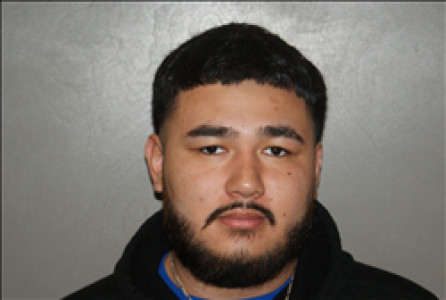 Aloany David Martinez a registered  of Georgia