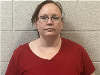 Robin Nycole Holtzclaw a registered Sex Offender of Georgia