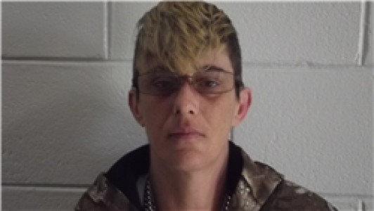 Krystal Irene Howard a registered Sex Offender of Georgia