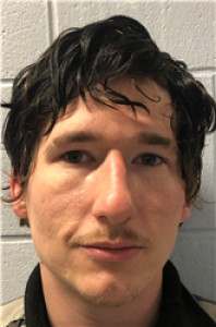 Carl Lance Metts a registered Sex Offender of Georgia