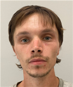 Stevene Lynn Camp a registered Sex Offender of Georgia