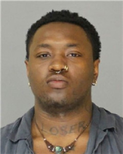 Kaelin Kanai Williams a registered Sex Offender of Georgia