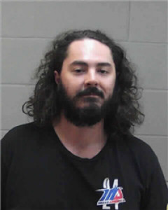 Sean Reeves Nicols a registered Sex Offender of Georgia
