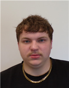 Tyler Mckee Lane a registered Sex Offender of Georgia