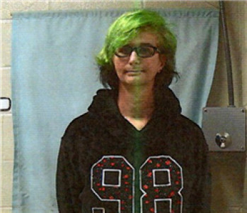 Mathew Garrison Horne a registered Sex Offender of Georgia
