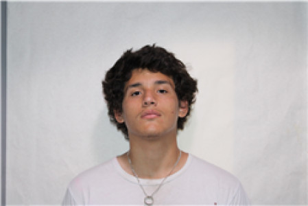 Tanner Reese Suarez a registered Sex Offender of Georgia