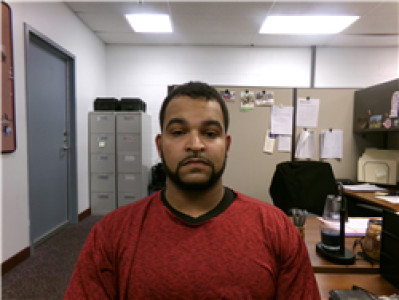 Raul Ariel Sanchez-marte a registered Sex Offender of Georgia