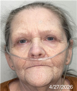 Teresa Darlene Hixson a registered Sex Offender of Georgia