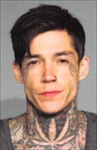 Michael Christopher Lee Perry a registered Sex Offender of Nevada