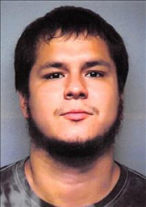 Oscar Javier Silva a registered Sex Offender of Nevada