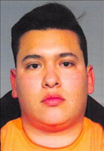 Ionathan Roman Garcia a registered Sex Offender of Nevada