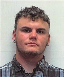 Brandon Nathanyl Lee a registered Sex Offender of Nevada