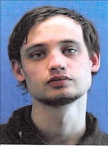 Alexander Logan Guenther a registered Sex Offender of Nevada