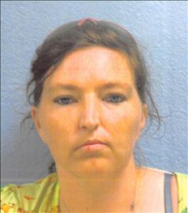 Jennifer Maire Johnson a registered Sex Offender of Arizona