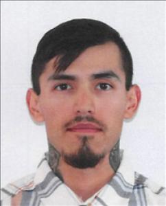 Nathaniel Rocky Salinas a registered Sex Offender of Nevada