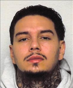 James Albert Sanchez a registered  of Nevada