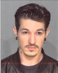 Aaron Ray Peterson a registered Sex Offender of Nevada