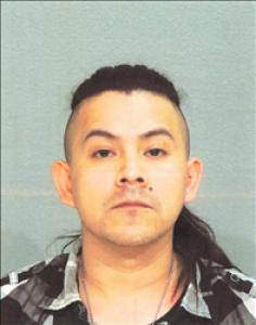 Hunter Blaine Mangold a registered  of Nevada