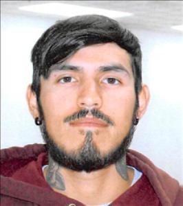 Nathaniel Rocky Salinas a registered Sex Offender of Nevada