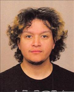 Brandon Richard Gonzalez a registered Sex Offender of Nevada