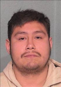 Luis Angel Sanchez a registered Sex Offender of Nevada