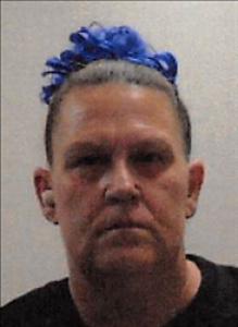 Sandi Rene Sauls a registered Sex Offender of Nevada