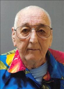 David Allen Reed a registered Sex Offender of Nevada