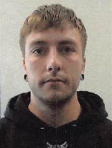 Layne Domnick Burgess a registered Sex Offender of Nevada