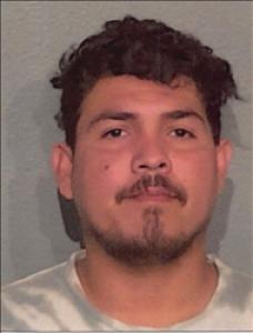 Carlos Reynaldo Perez Roque a registered Sex Offender of Nevada