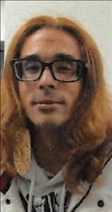 Aaron Louis Garback a registered Sex Offender of Nevada