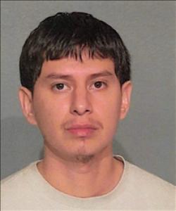 Mike Alexander Puma a registered Sex Offender of Nevada