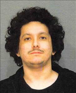 Patrick Carl Summary a registered Sex Offender of Nevada