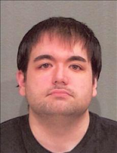 Ross Andrew Lopata a registered Sex Offender of Nevada