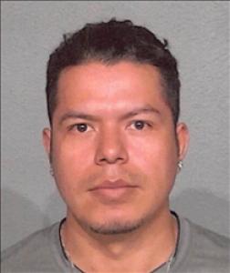 Mario Alberto Mendoza Jimenez a registered Sex Offender of Nevada