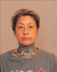 Robin Jane Dewey a registered Sex Offender of Nevada