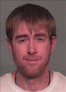 Brandon Lee Nelson a registered Sex Offender of Nevada