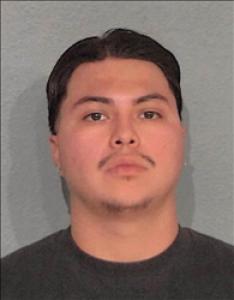 Nelson Junior Avila a registered Sex Offender of Nevada