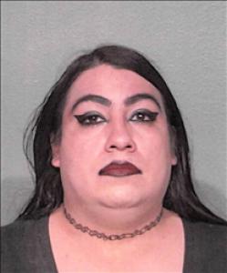 Ed Louis Callejas a registered Sex Offender of Nevada
