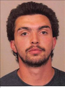 Brenton Samuel Nelson a registered Sex Offender of Nevada